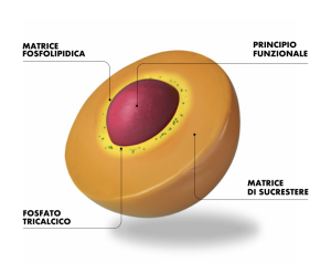 sucrosoma_ultraChrome